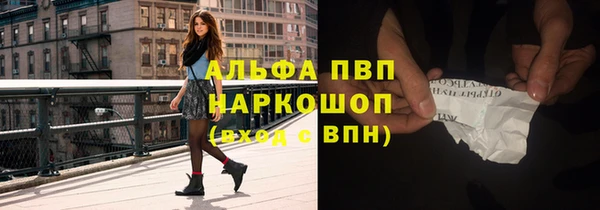 ешки Бородино
