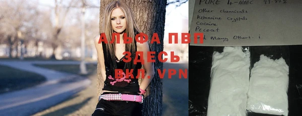 ешки Бородино