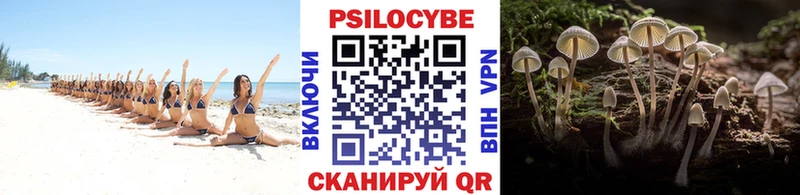 площадка состав Данилов Галлюциногенные грибы Cubensis